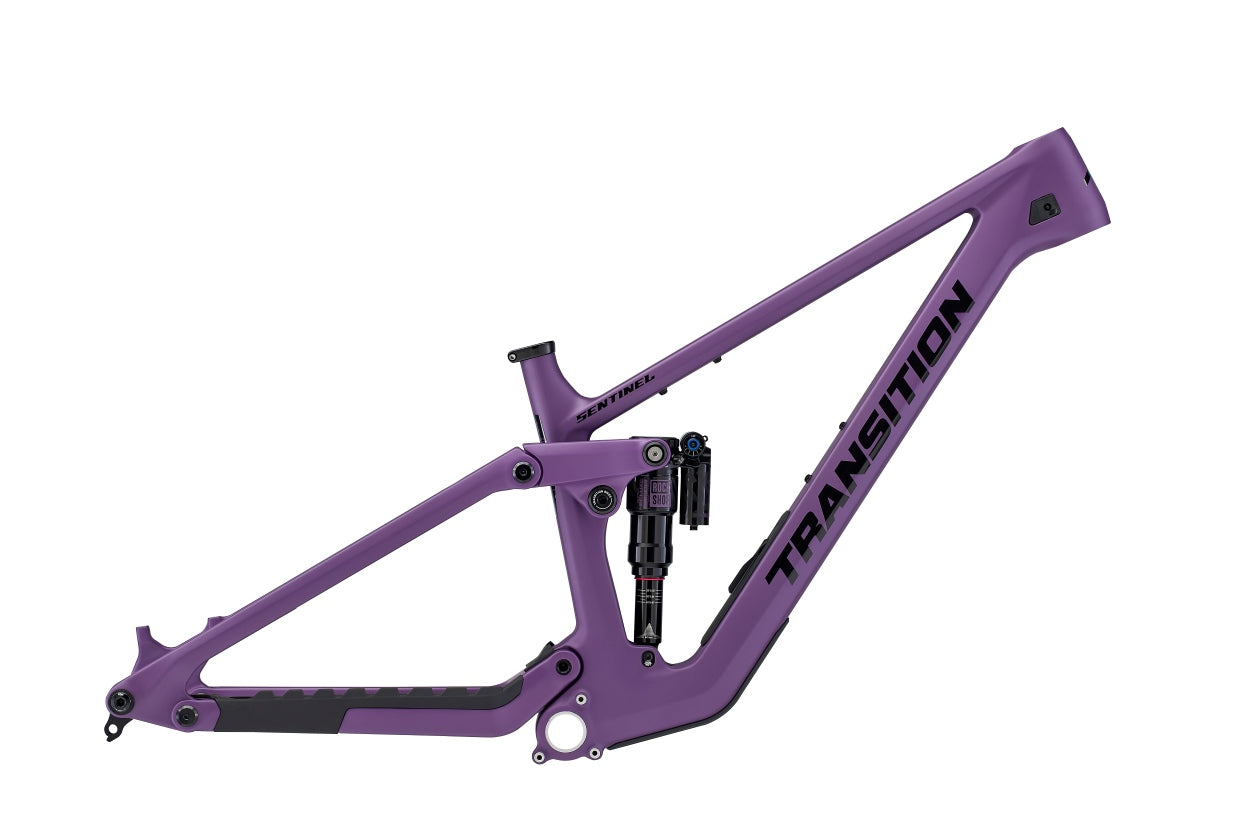 Sentinel Carbon Frameset
