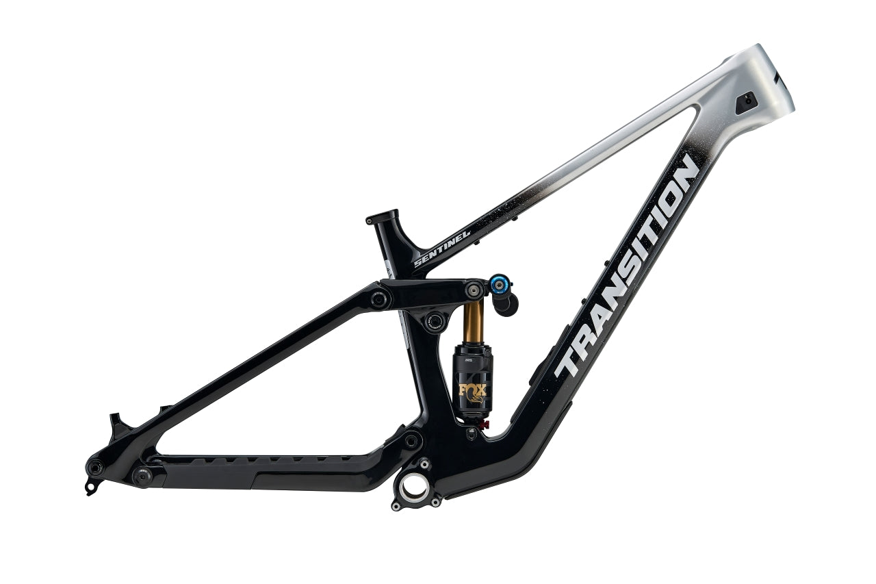 Sentinel Carbon Frameset